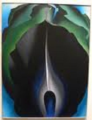 Black Calla 