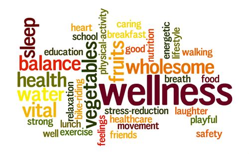 Wellness Plan 